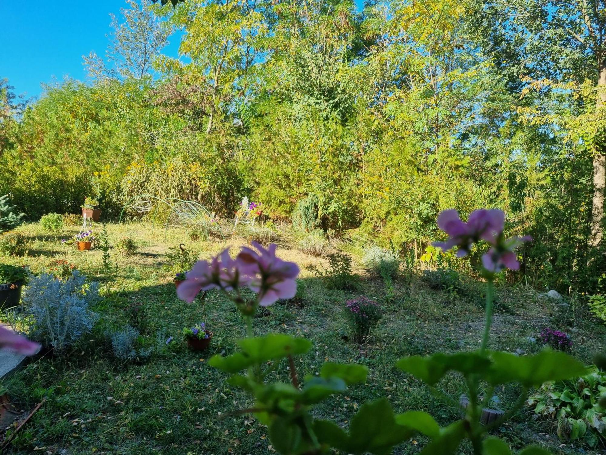 Pensiunea Agroturistica Diana Măgura Esterno foto