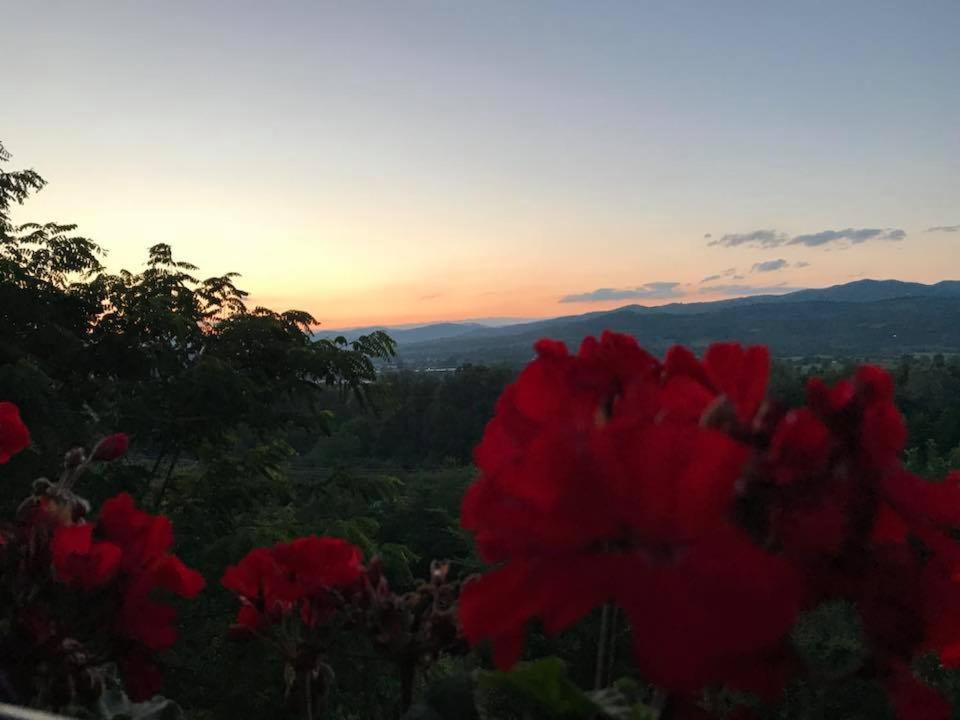 Pensiunea Agroturistica Diana Măgura Esterno foto