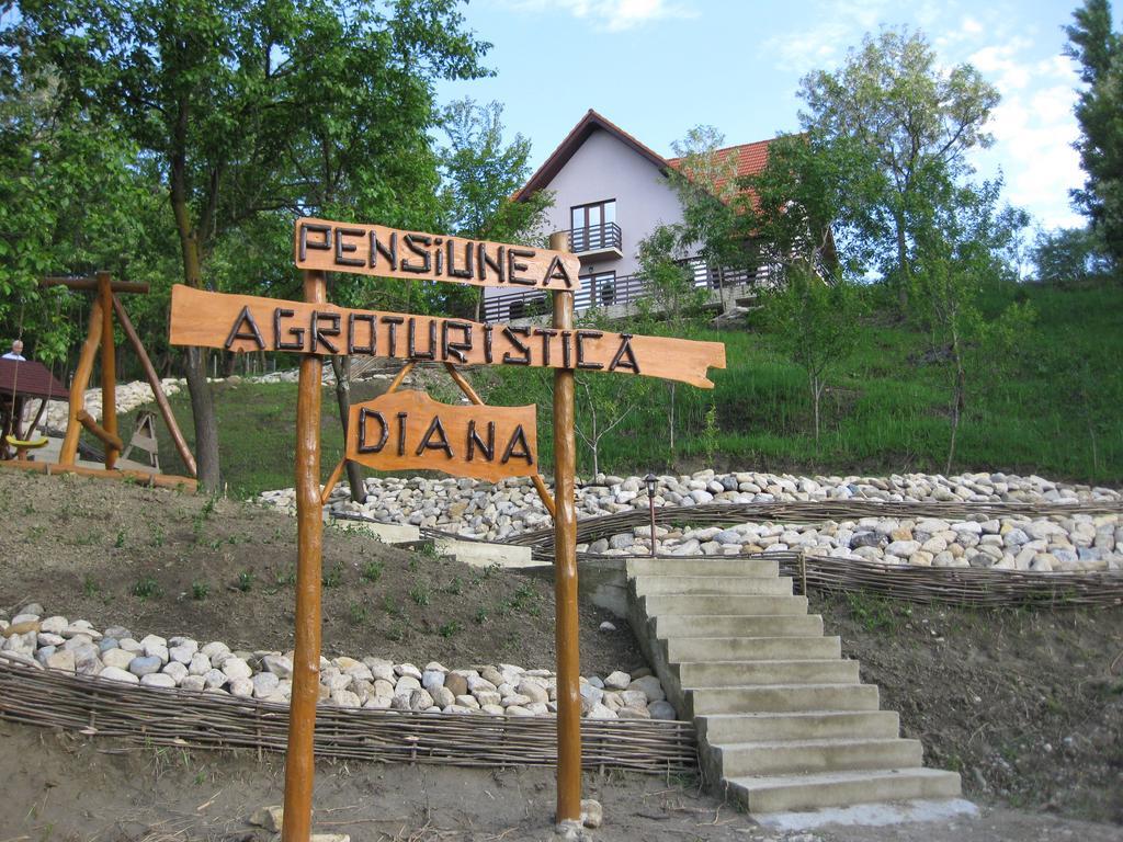 Pensiunea Agroturistica Diana Măgura Esterno foto